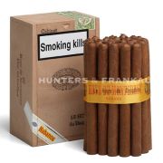 Le Hoyo Du Dauphin - Pack of 25